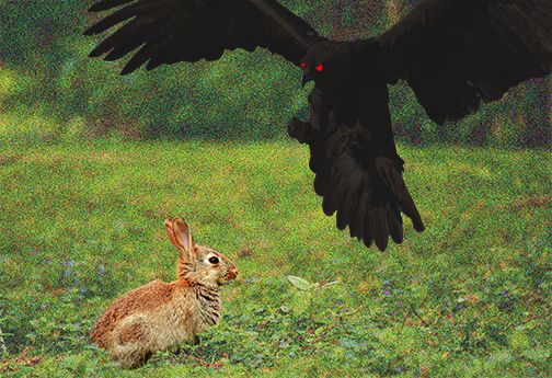 The prey views the predator as a red and black demon bird.